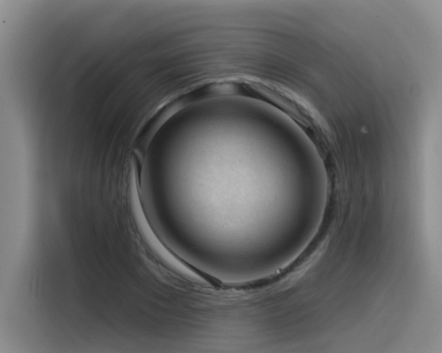 X0000115530881200911061438