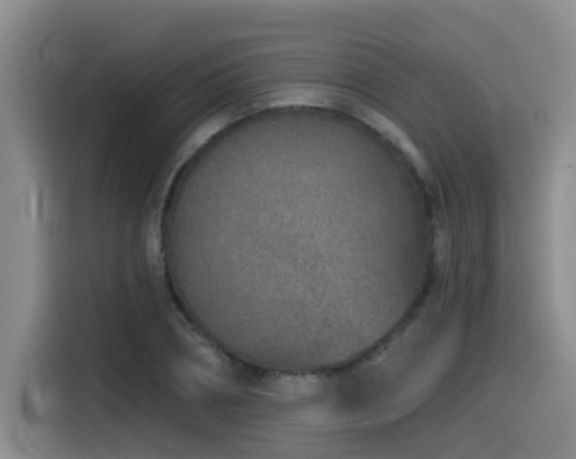 X0000115530882200911061438