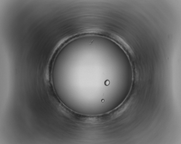 X0000115530883200911061438