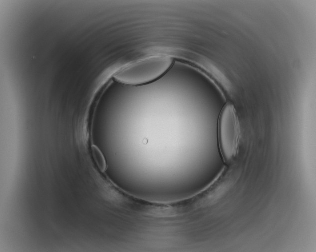X0000115530885200911061438