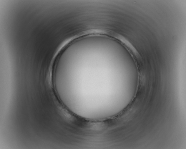X0000115530886200911061438