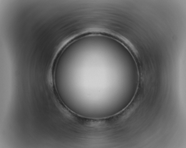 X0000115530887200911061438