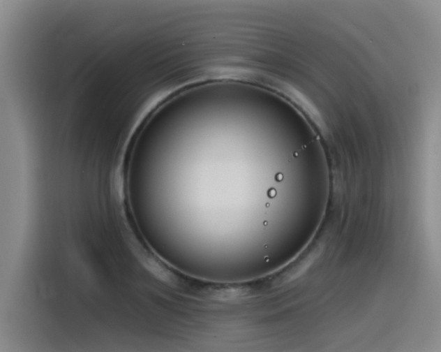 X0000115530891200911061438