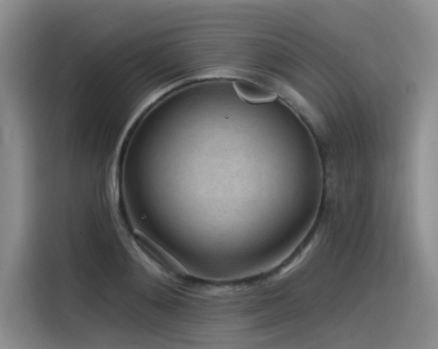 X0000115530892200911061438