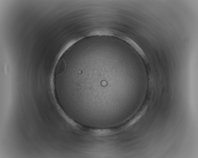 X0000115530893200911061438