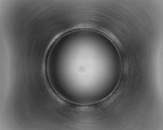 X0000115530896200911061438
