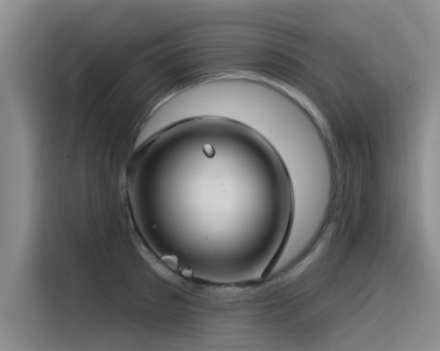 X0000115530897200911061438