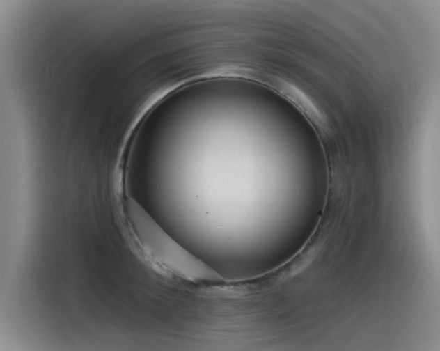 X0000115530900200911061438