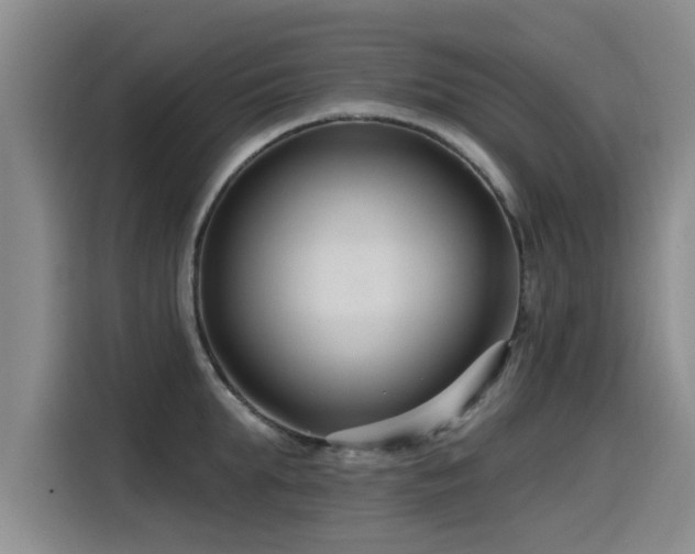 X0000115530903200911061438