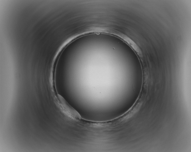 X0000115530904200911061438