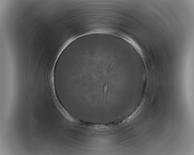 X0000115530907200911061438