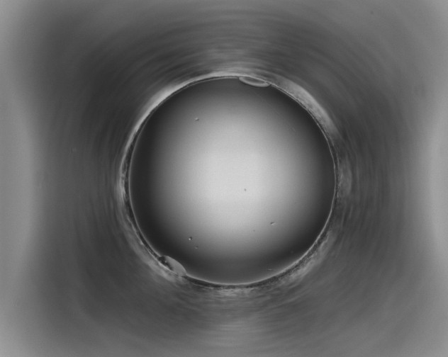 X0000115530908200911061438