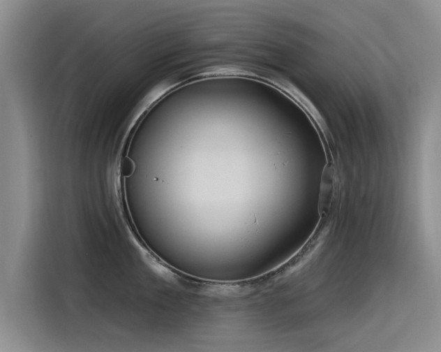 X0000115530909200911061438
