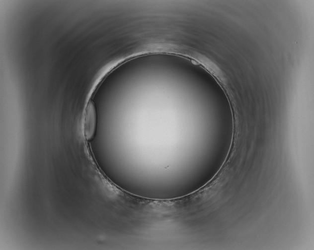 X0000115530912200911061437