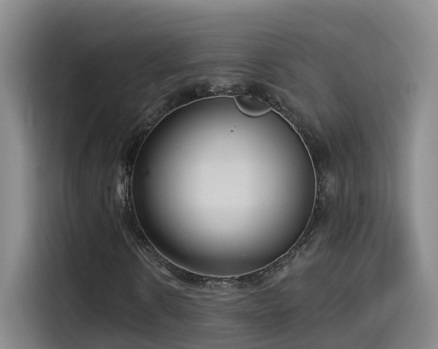 X0000115530914200911061437