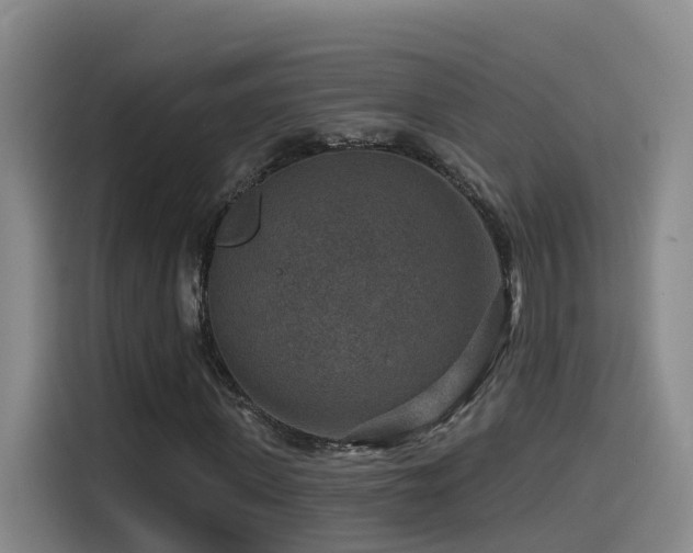 X0000115530915200911061437