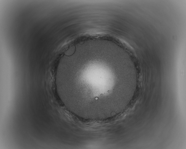 X0000115530917200911061437