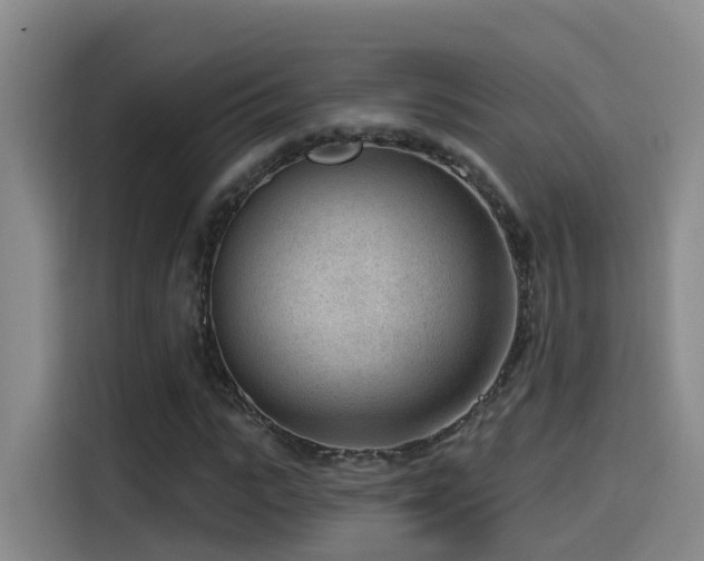 X0000115530919200911061437