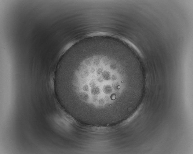 X0000115530921200911061437