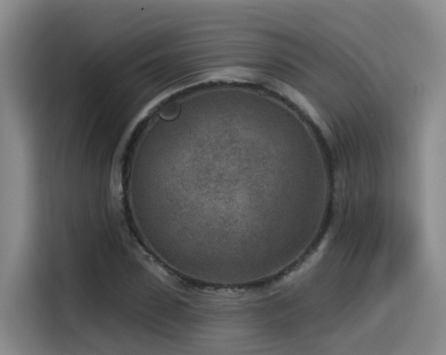 X0000115530923200911061437
