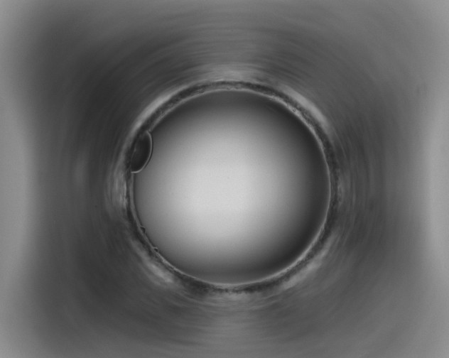 X0000115530925200911061437