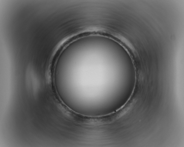 X0000115530927200911061437