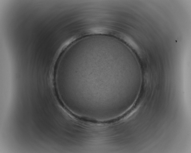 X0000115530930200911061437