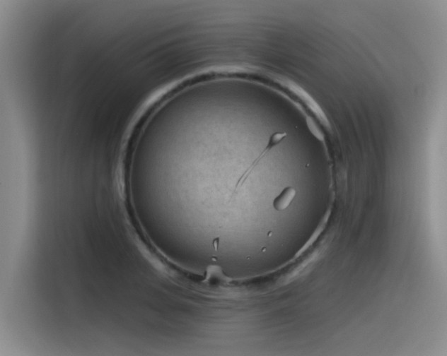 X0000115530935200911061437