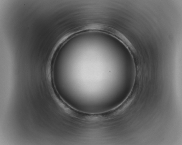 X0000115530939200911061437