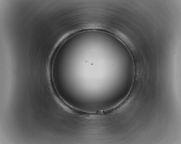 X0000115530942200911061437