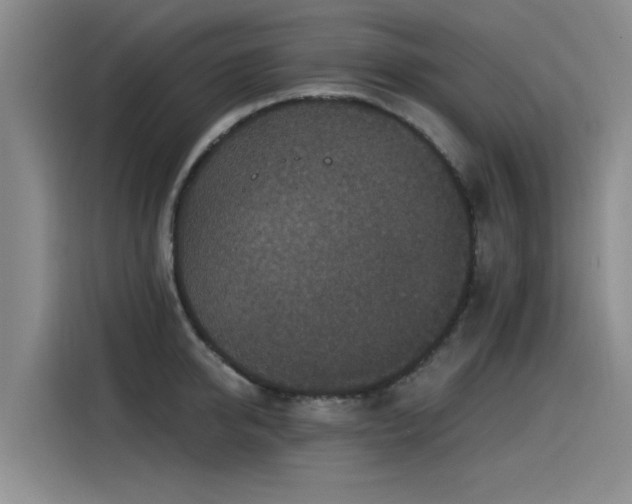 X0000115530950200911061437