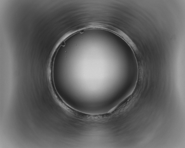 X0000115530955200911061437