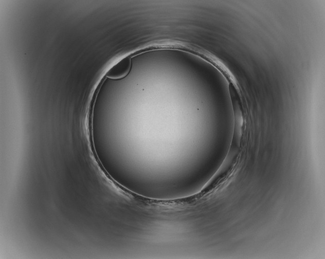 X0000115530959200911061437