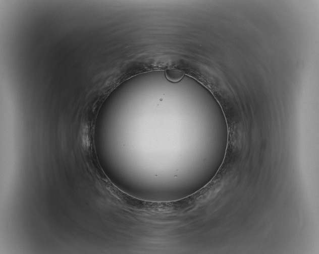 X0000115530962200911061437