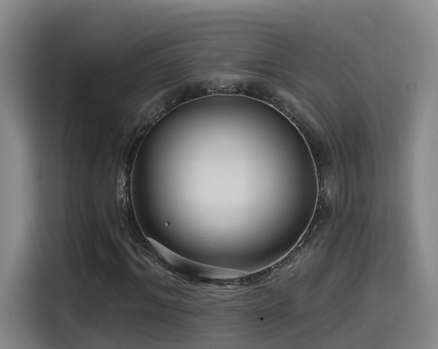 X0000115530964200911061437