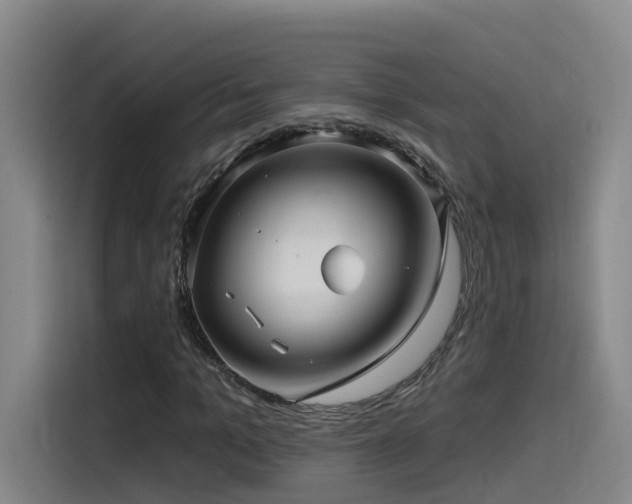 X0000115530965200911061437