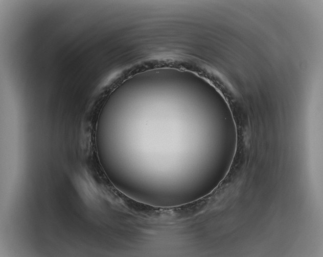 X0000115530968200911061437