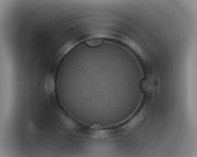 X0000115530969200911061437