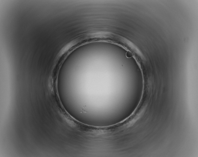 X0000115530970200911061437