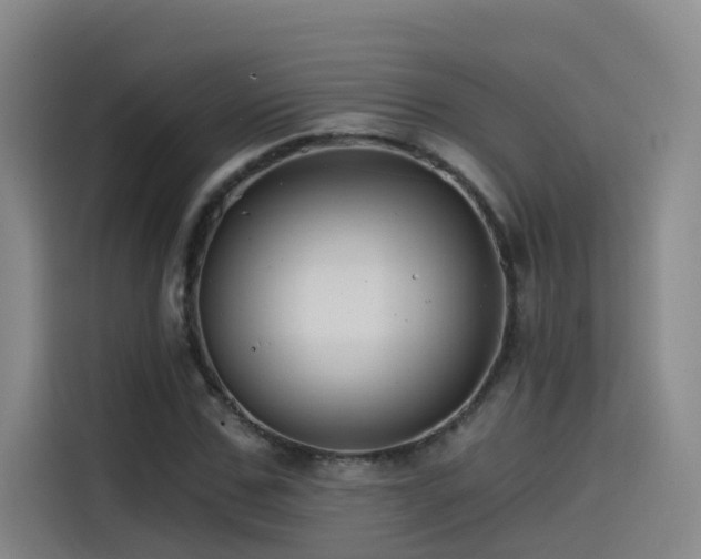 X0000115530971200911061437
