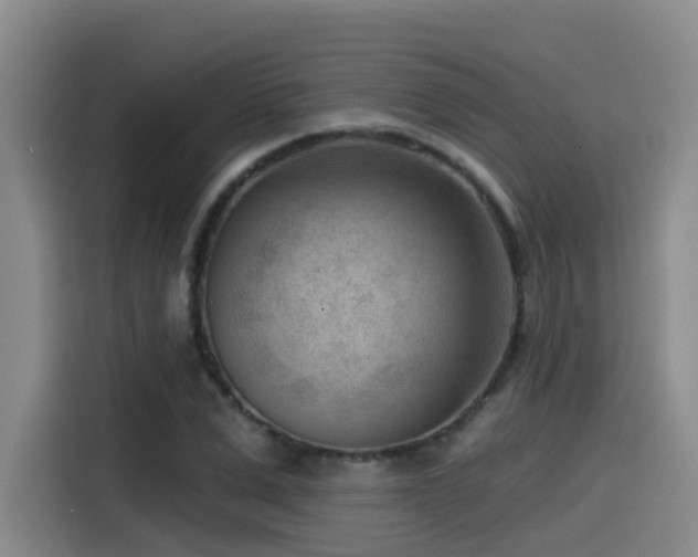 X0000115530975200911061437