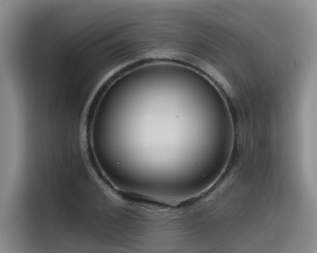 X0000115530976200911061437