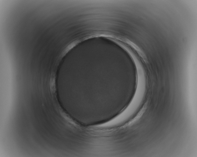 X0000115530977200911061437
