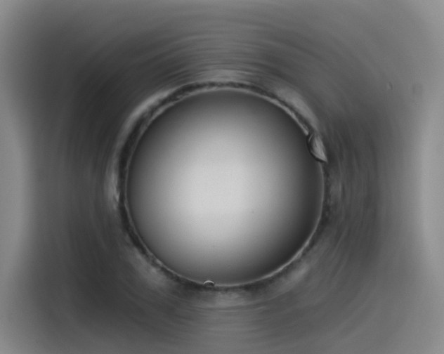 X0000115530979200911061437