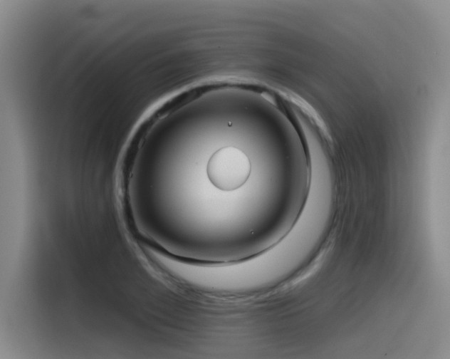 X0000115530981200911061437