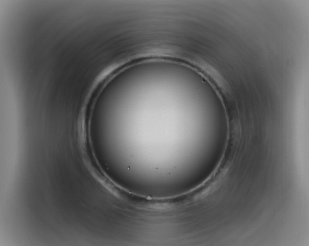 X0000115530982200911061437