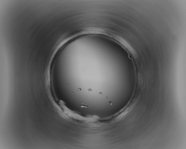 X0000115530988200911061436