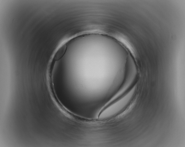 X0000115530989200911061436