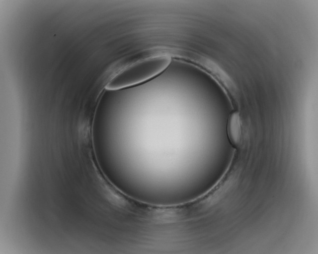 X0000115530993200911061436