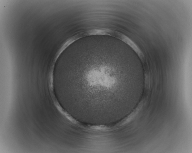 X0000115530994200911061436